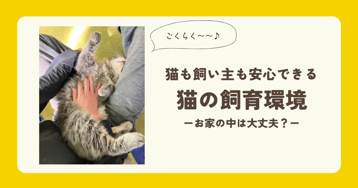 猫の飼育環境について