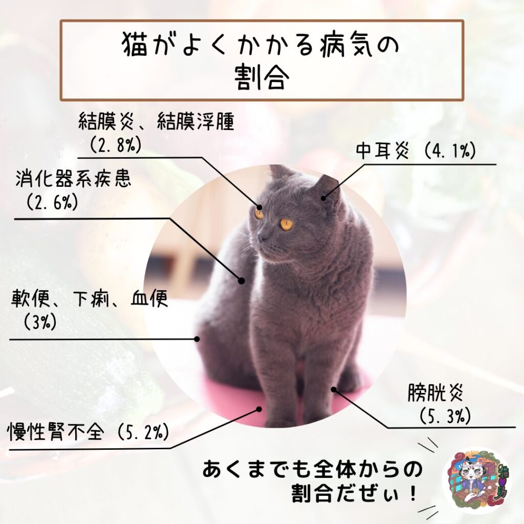 猫がよくかかる病気の割合