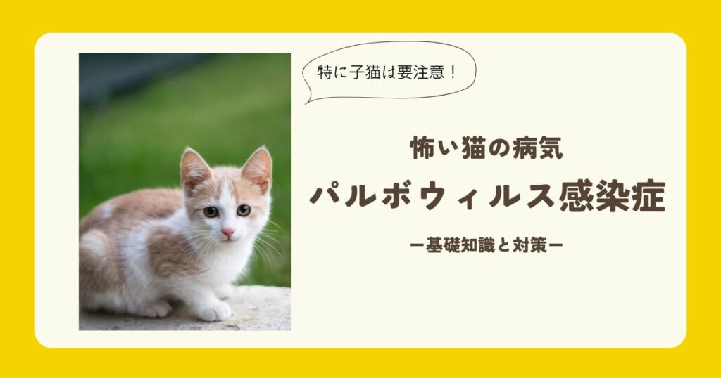 猫パルボウイルス感染症の基礎知識と対策 | 猫田助の保護猫ブログ