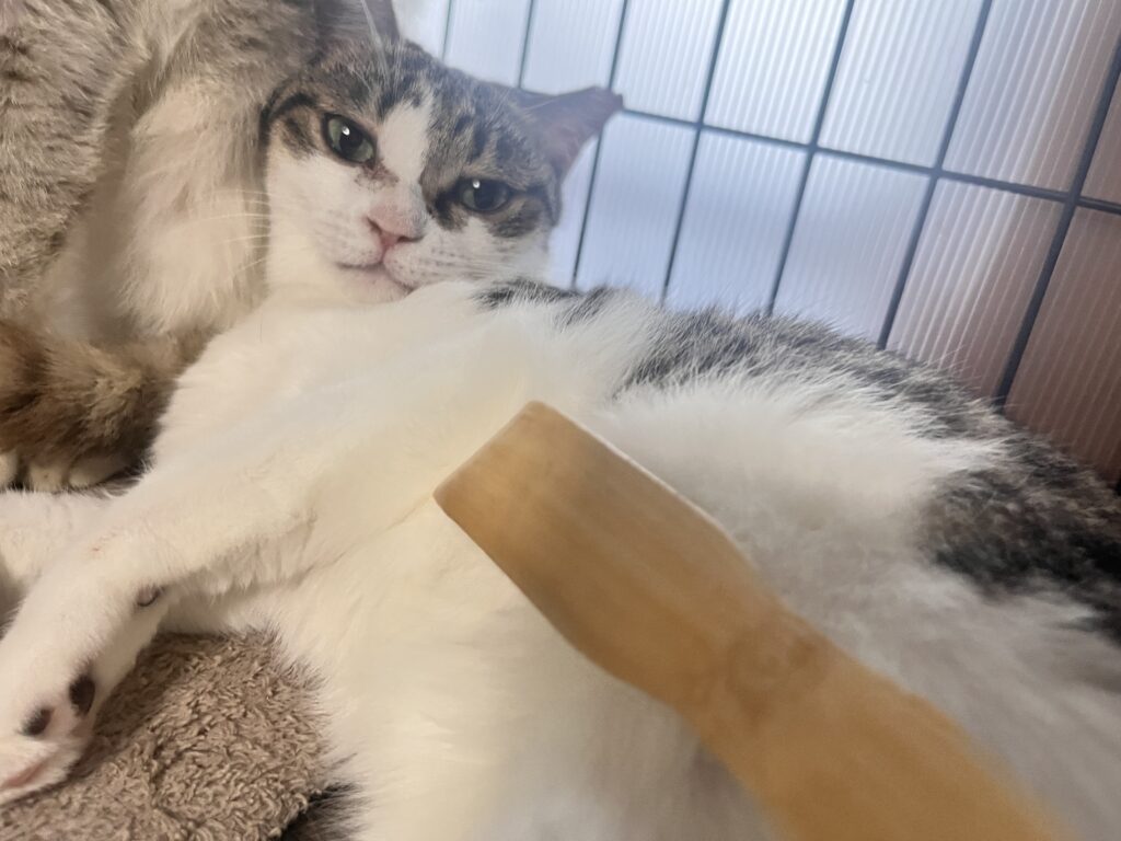 孫の手でお腹周りを撫でる
