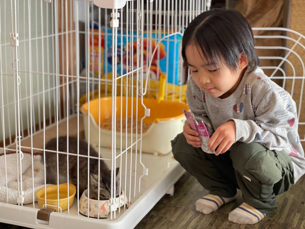 猫にウェットフードをあげる子ども