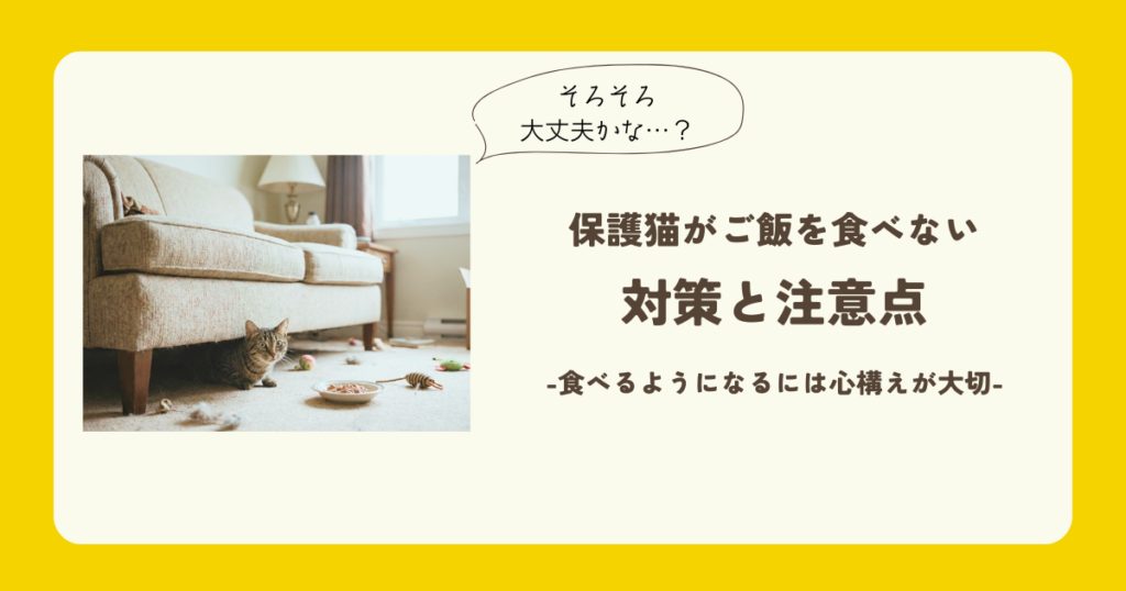 保護猫 ご飯 食べない