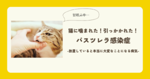 パスツレラ症 人に感染る