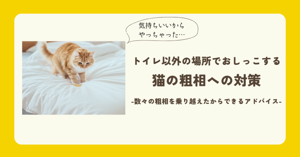 猫 トイレ以外で尿