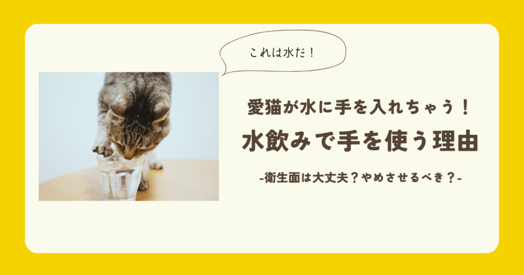 猫 水 手を使う