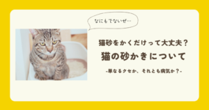 猫 トイレ 砂をかくだけ