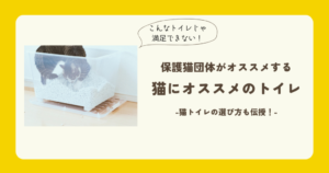 猫のオススメトイレ