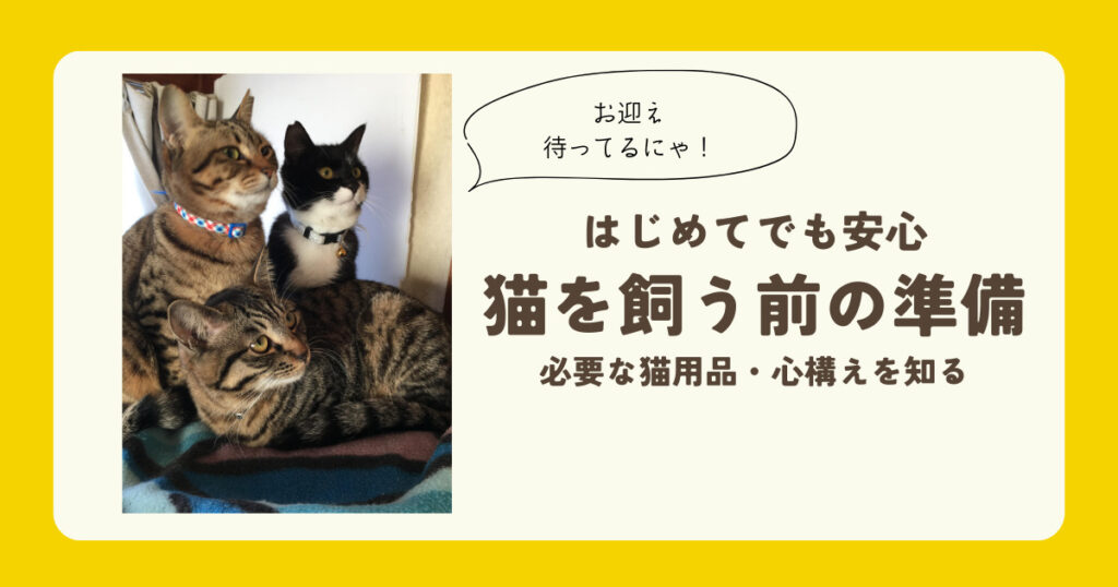 はじめてでも安心！猫を飼う前の準備