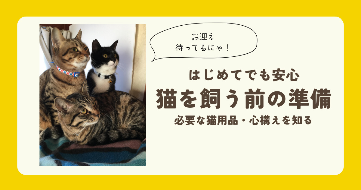 猫を飼うための準備について解説 〜はじめての人向け〜